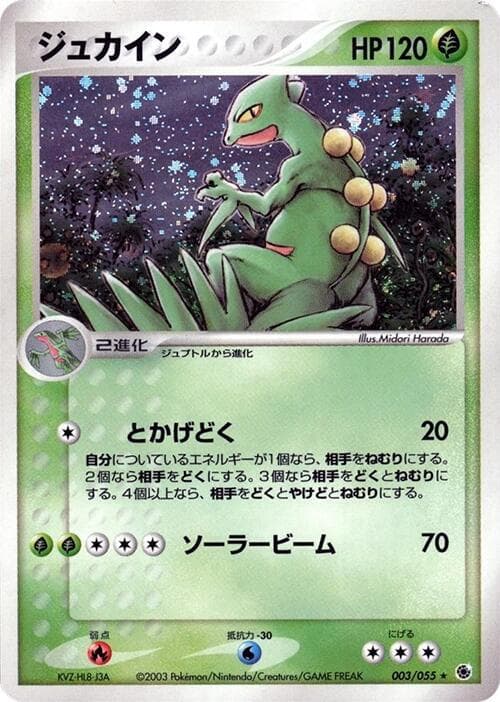 Sceptile 003 1st Edition holo