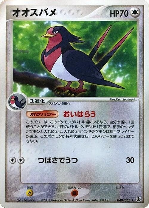 Swellow 040
