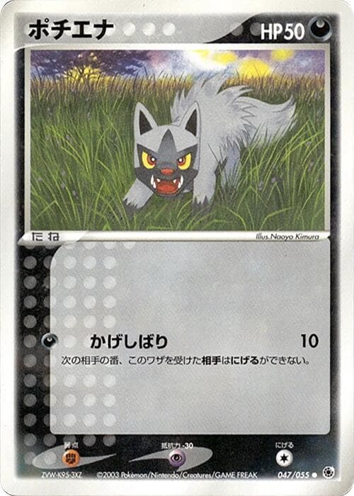 Poochyena 047 1st Edition