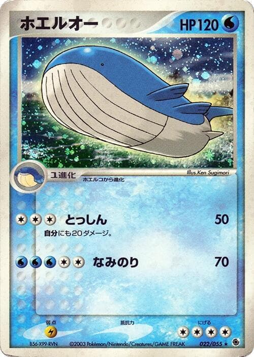 Wailord 22