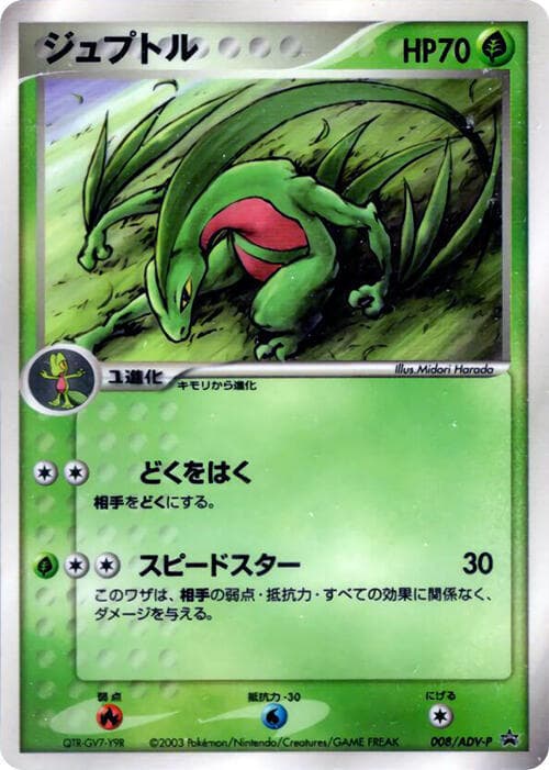Grovyle 008 Normal