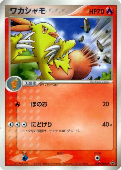 Combusken 009