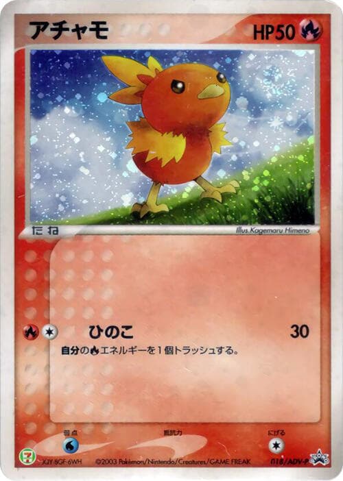 Torchic 018