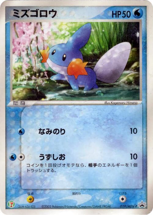 Mudkip 019