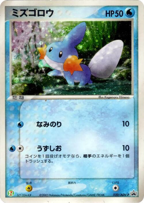 Mudkip 020