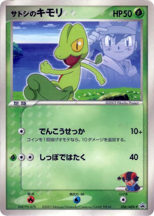Ash's Treecko 036