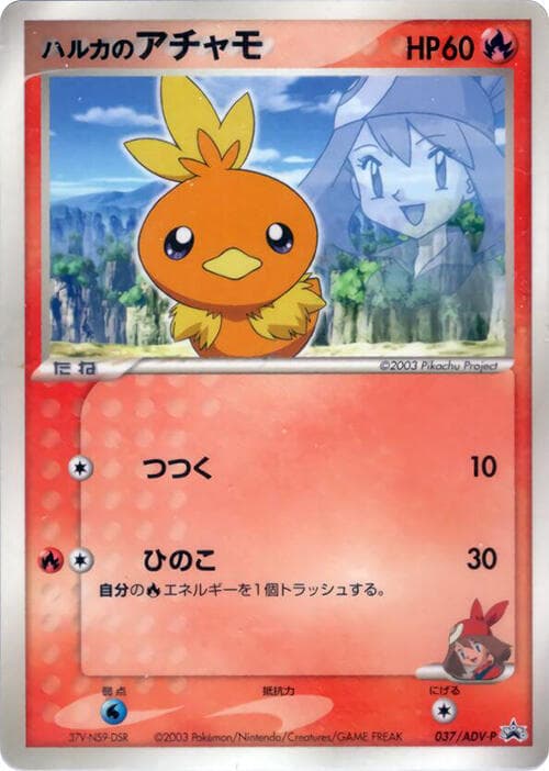 May's Torchic 037