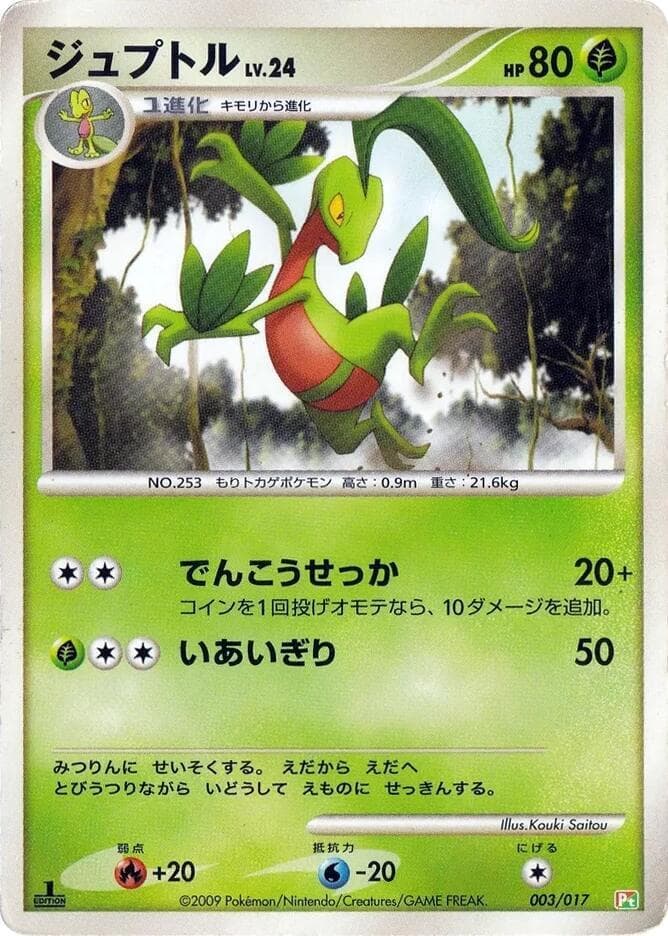 Grovyle 003