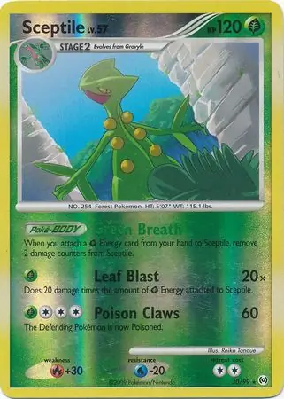 Sceptile Reverse Holo 30 Normal
