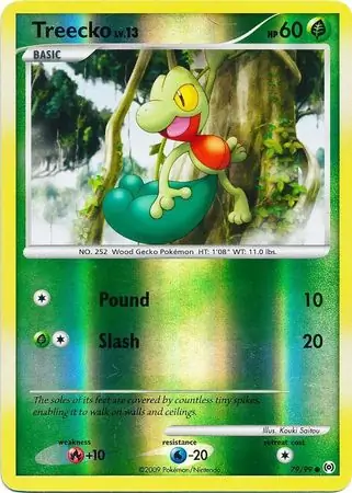 Treecko Reverse Holo 79
