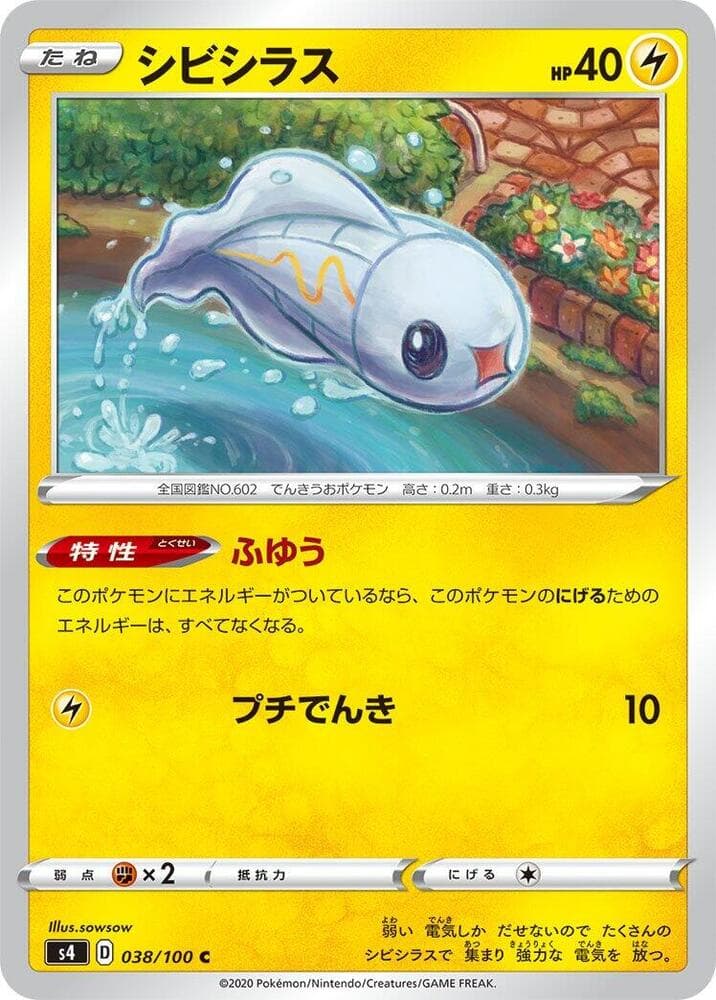 Tynamo 038