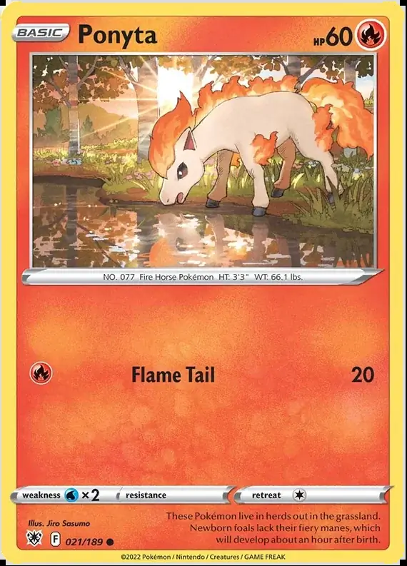 Ponyta 021