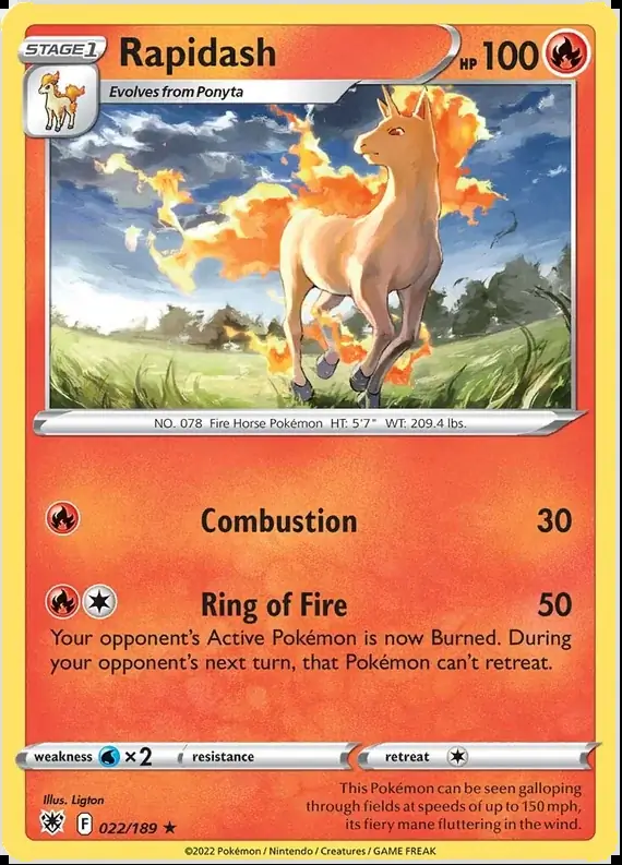 Rapidash 022 Normal