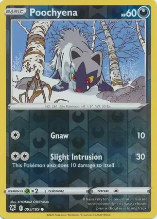 Poochyena Reverse Holo 095 Normal