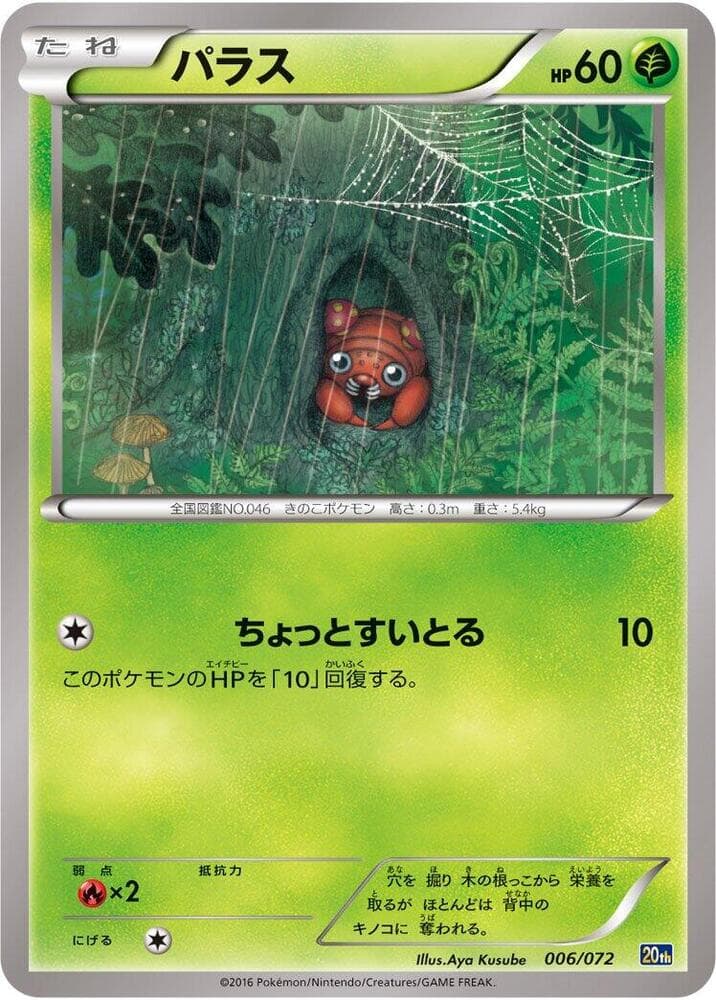 Paras 006