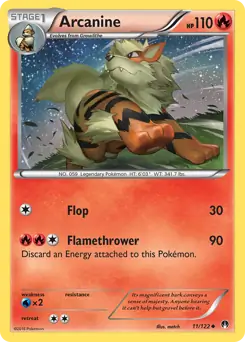 Arcanine 11 Normal