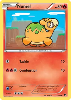 Numel 12