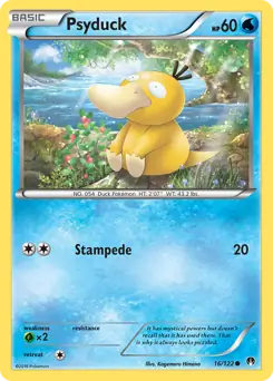 Psyduck 16 Normal