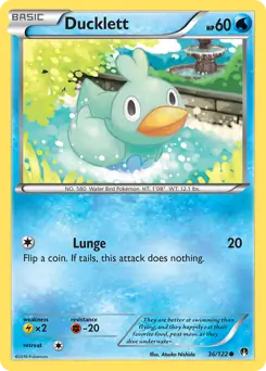 Ducklett 36 Normal