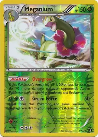 Meganium Reverse Holo 3 Normal