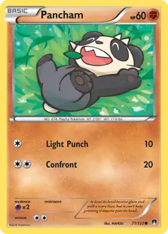 Pancham 71 Normal