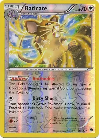 Raticate Reverse Holo 88