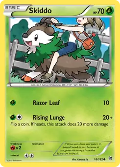 Skiddo 16 Normal