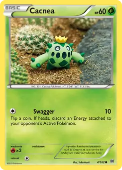 Cacnea 4 Normal