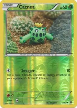 Cacnea Reverse Holo