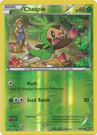 Chespin Reverse Holo 7 Normal