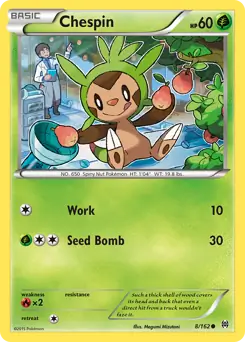 Chespin 8 Normal