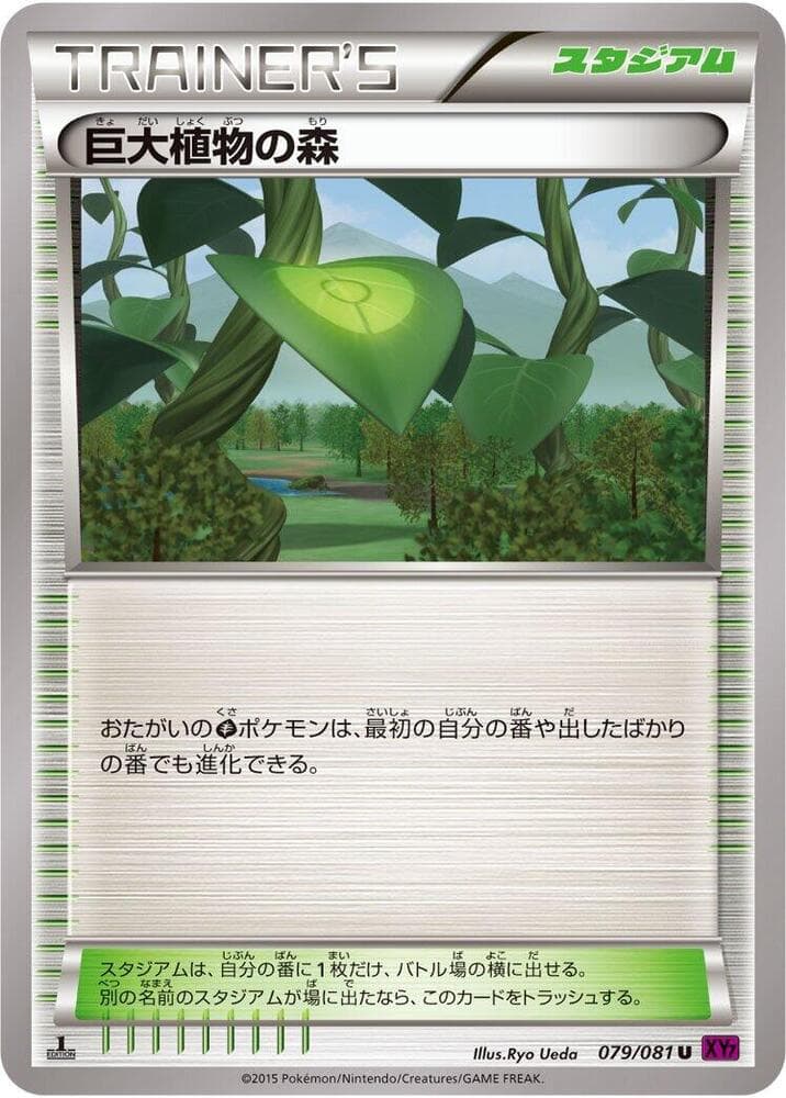 Forest of Giant Plants 079