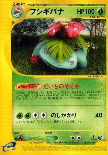 Venusaur 065