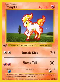 Ponyta 60