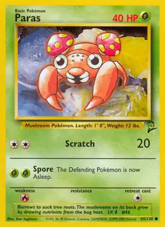 Paras 85