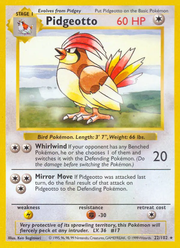 Pidgeotto 22