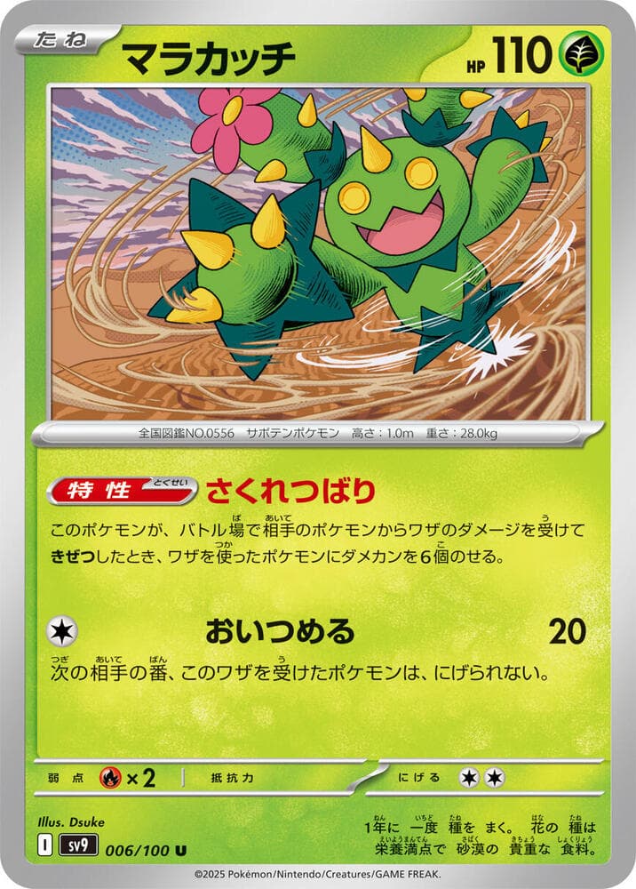 Maractus 006
