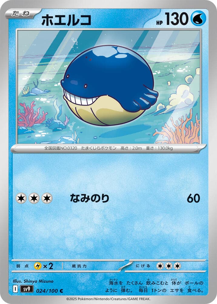 Wailmer 024