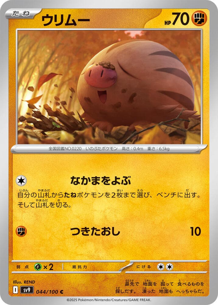 Swinub 044