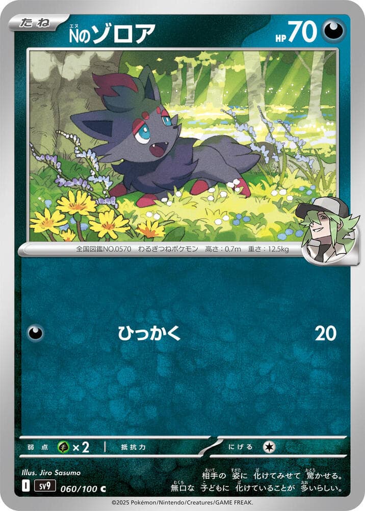 N's Zorua 060
