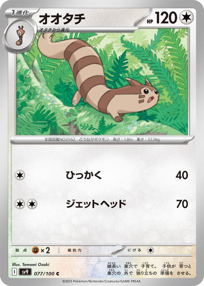 Furret 077