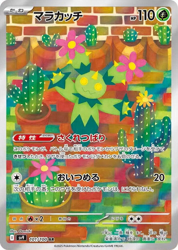 Maractus 101 Normal