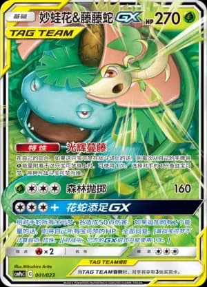 Venusaur & Snivy Tag Team 001