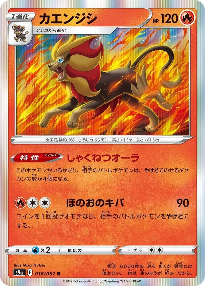 Pyroar 016