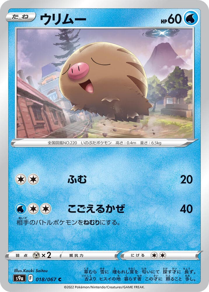 Swinub 018