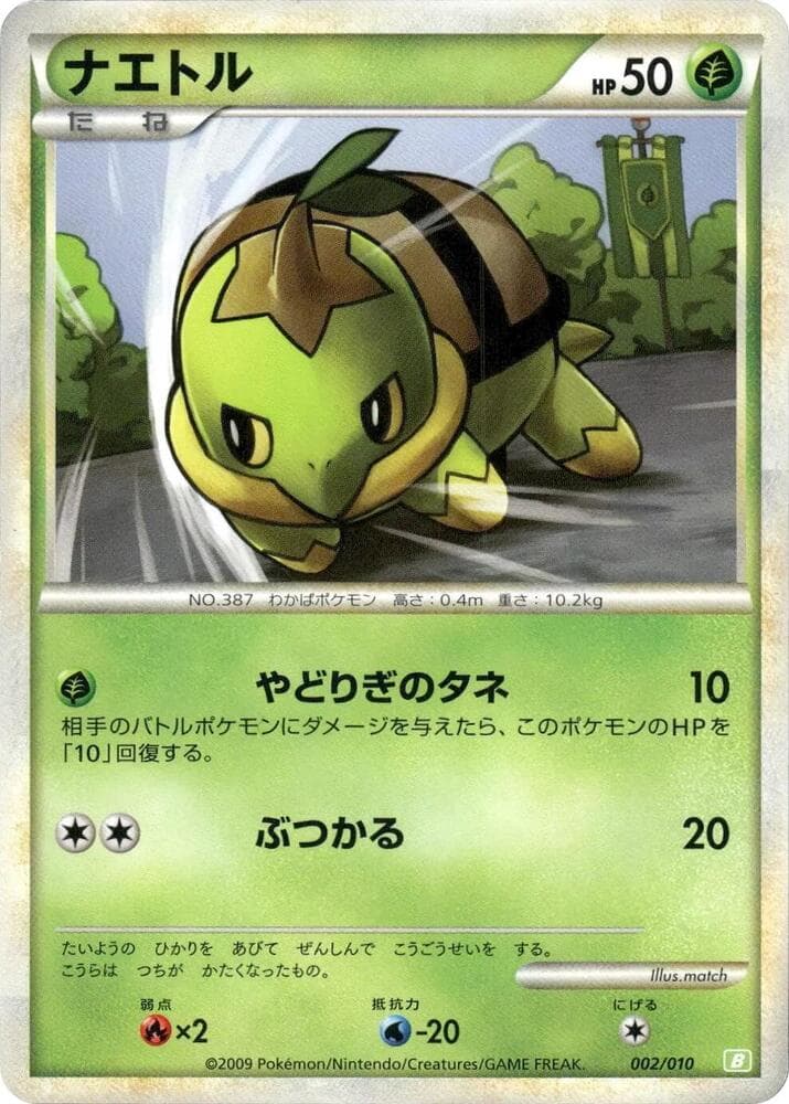 Turtwig 002