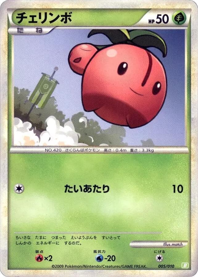 Cherubi 005