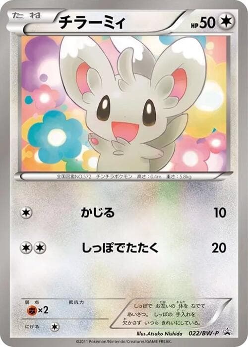 Minccino 022 Normal