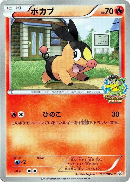 Tepig 035
