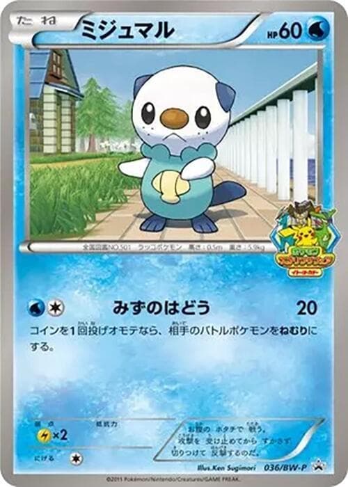 Oshawott 036